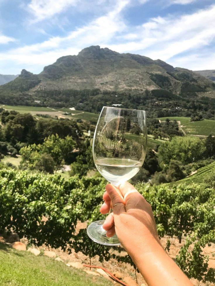 Cape Winelands wine tasting tour