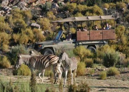 Aquila Safari day trip from Cape Town